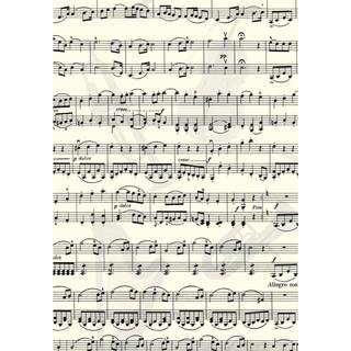 Fotokarton Noten Instrumente 50x70cm 300g/m² - Weiß, Schwarz