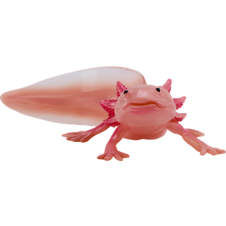 Mojo Axolotl halepadde