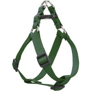 Lupinepet Basics 3/4 """" Grøn 20-30 """" Trin i sele for mellemstore hunde