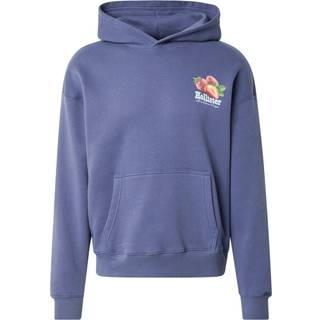 Hollister Hollister Blue Graphic Print Hoodie
