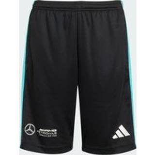MERCEDES - AMG PETRONAS FORMULA ONE TEAM DNA SHORTS - Black / White - 176