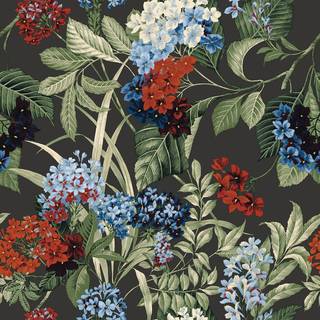 Albany Wallpaper Misake 2320