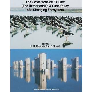 The Oosterschelde Estuary