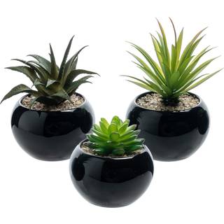 MyGift Mini Assorterede kunstige sukkulenter i runde sorte keramiske gryder blandede realistiske indend?rs husplanter s?t p? 3