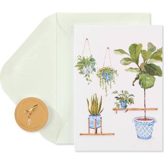 Papyrus blanke kort med konvolutter indend?rs have (14-t?lling)