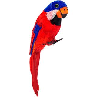 Gefiederter Papagei rot und blau