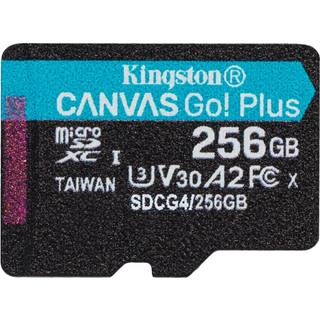 Kingston Canvas Go! Plus microSD 256GB