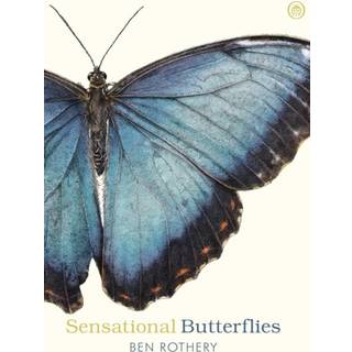 Sensational Butterflies
