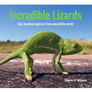 Incredible Lizards
