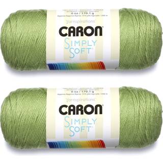 Bulk K?b: Caron Simply Soft Garn Solid (2-Pack) (Pistache)