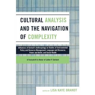 Cultural Analysis and the Navigation of Complexity