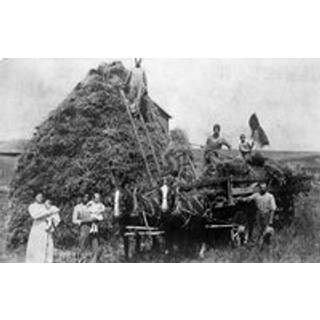 Mrs. Cook and the Klan