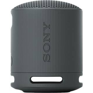Sony SRS-XB100 - Portable speaker - Black