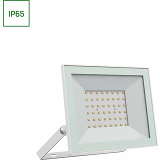 Noctis Lux 4 projektør 50W - kold hvid, 230V, IP65, 176x137x25mm, hvid
