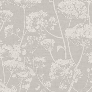 Albany Wallpaper Cowparsley 204902