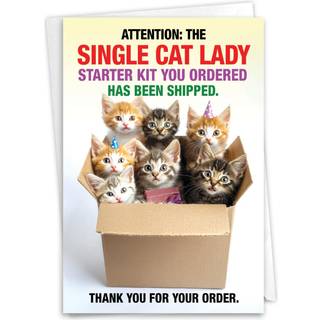 Nobleworks Funny Birthday lykønskningskort med 5 x 7 tommer konvolut (1 kort) Bday Single Cat Lady C8469BDG