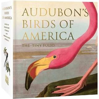 Audubon's Birds of America
