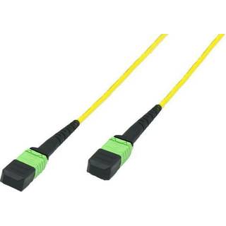 MICROCONNECT Fiber Patch Cable -  MTP -