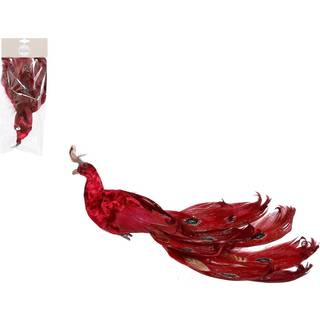 Påfugl rød med klips