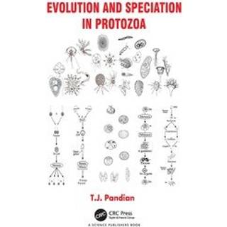 Evolution and Speciation in Protozoa