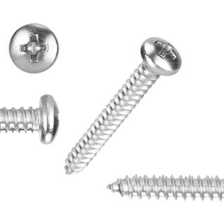 100 pcs #10x2 """" Rustfrit st?l Phillips Pan Hovedtr? Skruer Rustfrit st?l 18-8 A2 (304) Skrue Hjemmesskrue Kit af Qisheng