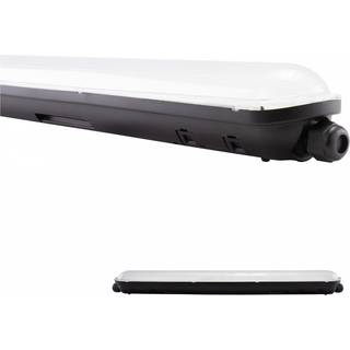 Limea Gigant vandtæt 20W Neutral hvid - 600mm 230V 120° IP65 IK09 600x72x70mm Sort - Kulør : Neutral