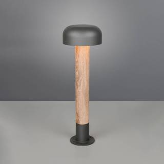 Trio Lighting - Fraser 54cm - Pullerter