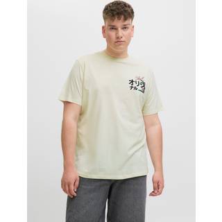 Plus Size T-shirt