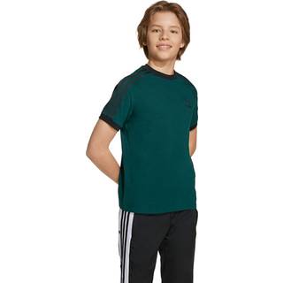 adidas originals adidas Originals Green Adicolor 3-Stripes Kids T-Shirt