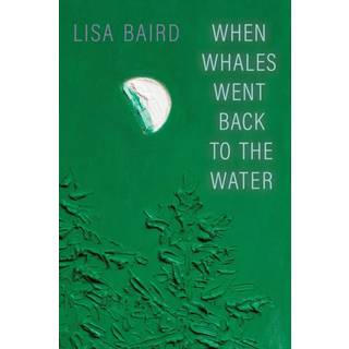 When Whales Went Back to the Water