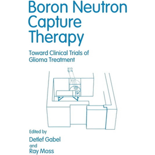 Boron Neutron Capture Therapy