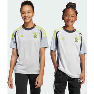 Benfica 24/25 Third Jersey Kids - Light Solid Grey - 140