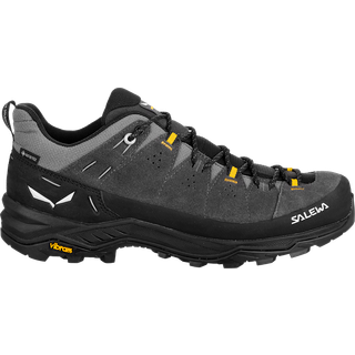 Salewa Alp Trainer 2 GTX Multisportsko Herrer størrelse 6 farve sort