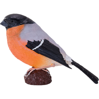 Mojo Dompap