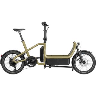Riese & Müller Carrie City Ladcykel med Bosch Performance Line-motor og PowerPack 545 Wh-batteri