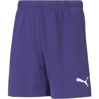 Puma Drenge teamRISE Sport træningsshorts lilla