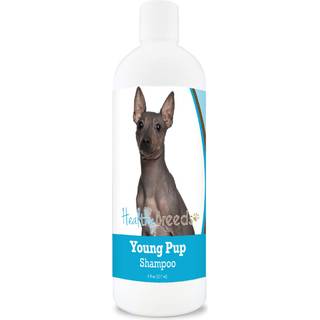 Sunde racer American Hairless Terrier Young Pup Shampoo 8 oz