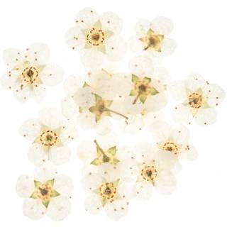 Füllmaterial für Resin Trockenblumen Weiß