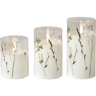 Da'core LED cylinder glas Flora 3 stk