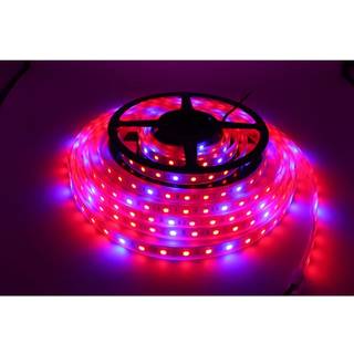 8,5W/m stænktæt vækst LED strip - 5m, 60 LED pr. meter, 24V DC, IP65