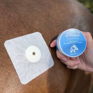 Bacxitium - Sårplaster, Til Kroppen, 10 X 10 Cm, Hest - 10X10 CM
