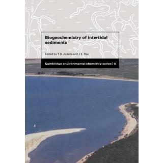 Biogeochemistry of Intertidal Sediments