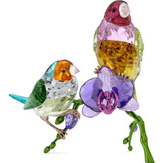 Swarovski Kristall Figuren - Idyllia SCS Jahresausgabe 2024 Gouldamadinen - 5670031 - kristall