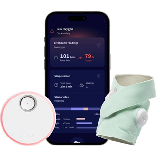 Owlet Dream Sock Babyalarm, Mint