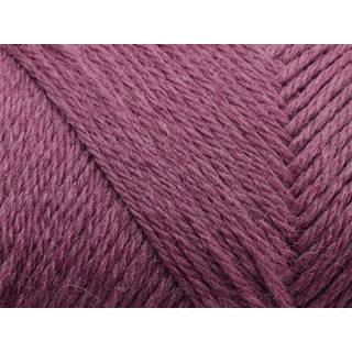 Arwetta red clover [236]