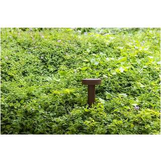 Faro CERLER 600 Havelampe Rustbrun