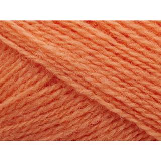 Saga | 254 Coral