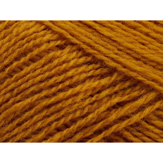 Saga | 311 Turmeric