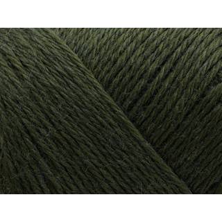 Arwetta 105 - Slate Green