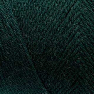 Arwetta Fv. 147 Hunter Green